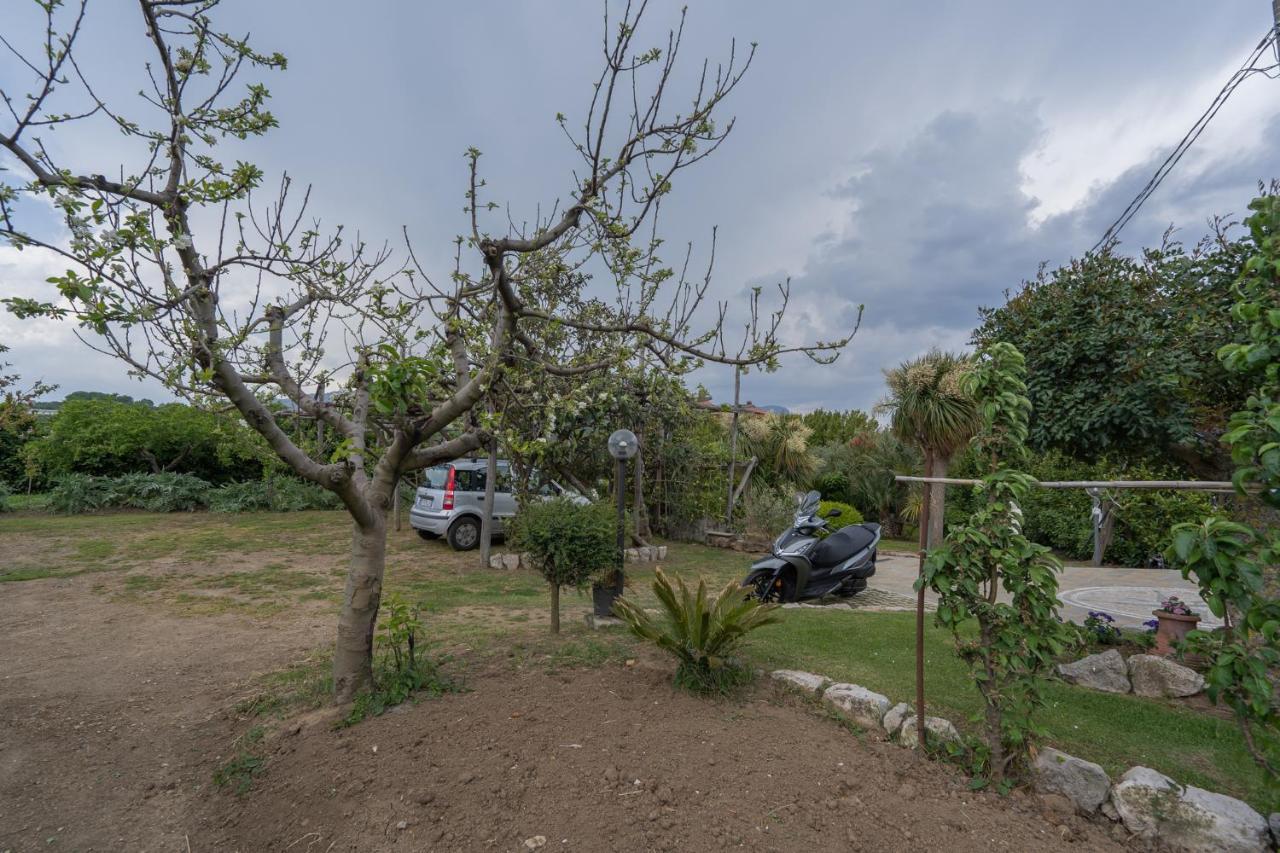 Villa La Pace Sant'Agnello Exterior foto